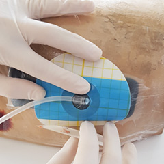 Let's align the suction cup with the hole